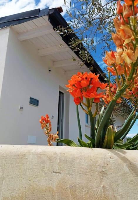 Apartament Mama Relax 2 A Un Passo Dal Mare Con Piscina Cursi Zewnętrze zdjęcie