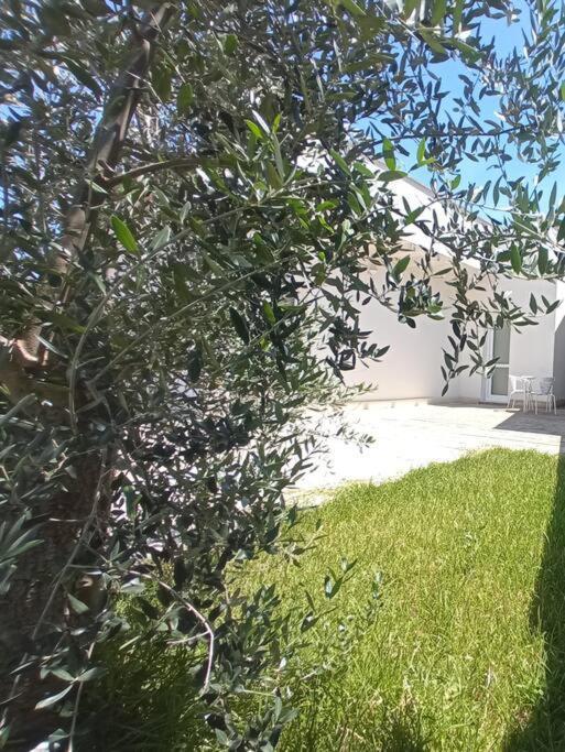 Apartament Mama Relax 2 A Un Passo Dal Mare Con Piscina Cursi Zewnętrze zdjęcie